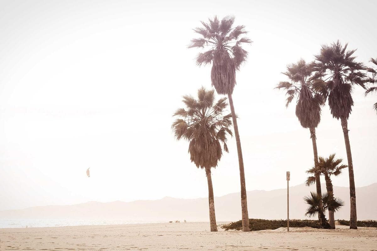 Solid Wood Dining Set detail 2